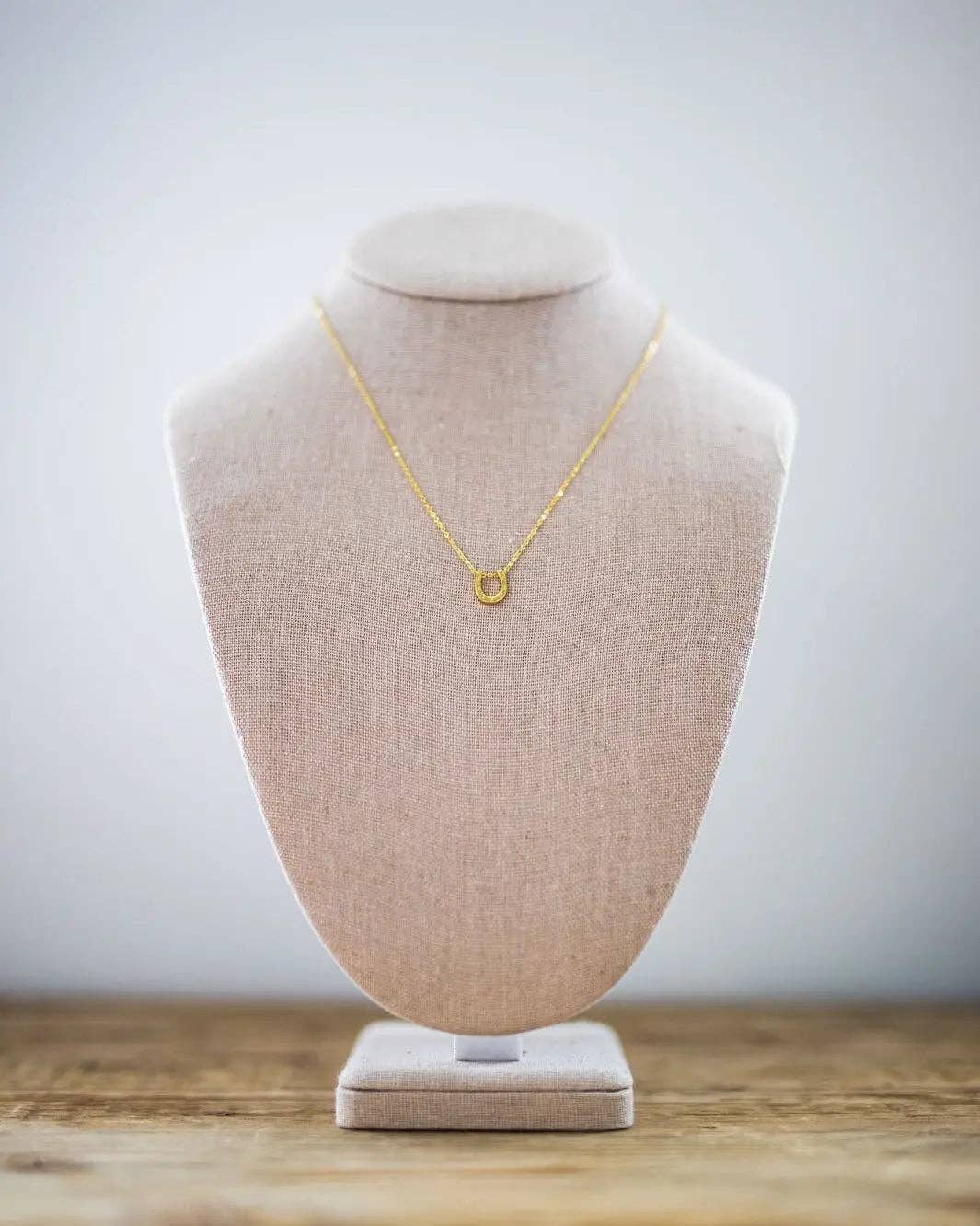 Lucky Horseshoe Necklace: Silver
